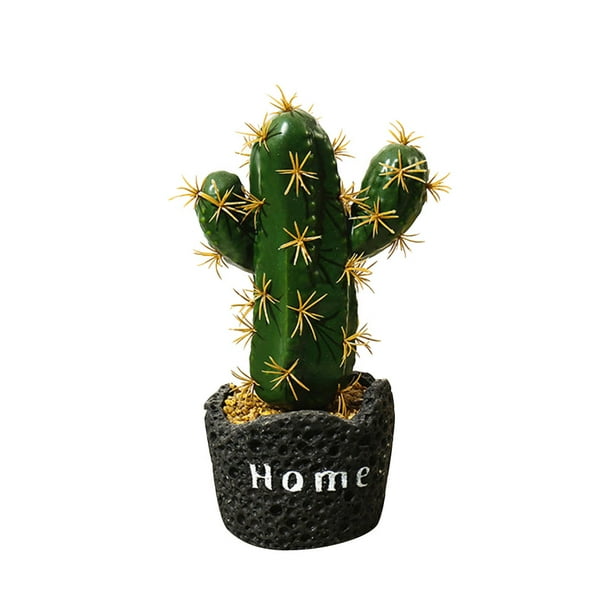 cactus Home Garden Bonsai decoration plants cactus Home Garden Bonsai decoration plants